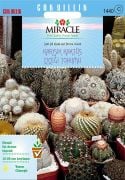 Miracle Karışık Kaktüs Bitkileri Çiçeği Tohumu (900 tohum)