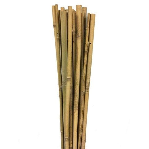 Bambu Fidan Dikim Destek Çubuğu 1000 adet(140-160 cm)