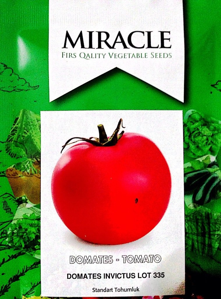 Miracle İnvictus Domates Tohumu (10 gram)