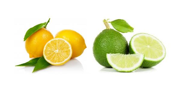 Tüplü Lime Limon Aşılı Narenciye Fidanı