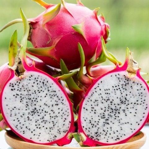 Tüplü Beyaz Pitaya Ejder Meyvesi Fidanı