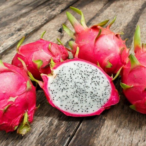 Tüplü Beyaz Pitaya Ejder Meyvesi Fidanı