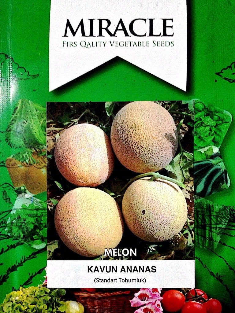 Miracle Ananas Kavun Tohumu (10 gram)