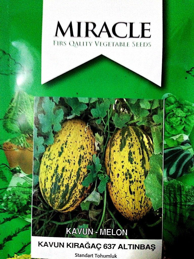 Miracle Kırkağaç 637 Kavun Tohumu (10 gram)