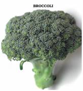 Geleneksel Brokoli Tohumu (1000 adet)