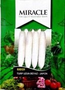 Miracle Uzun Beyaz Turp Tohumu (10 gram)