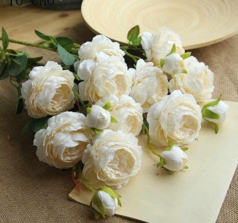 Peonies Festiva Maxima White Şakayık Çiçeği Yumrusu-Rizomu(1 Adet)