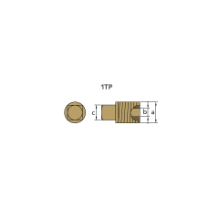 GENERAL MOTOR TAPA th. 1/2'' Bspt