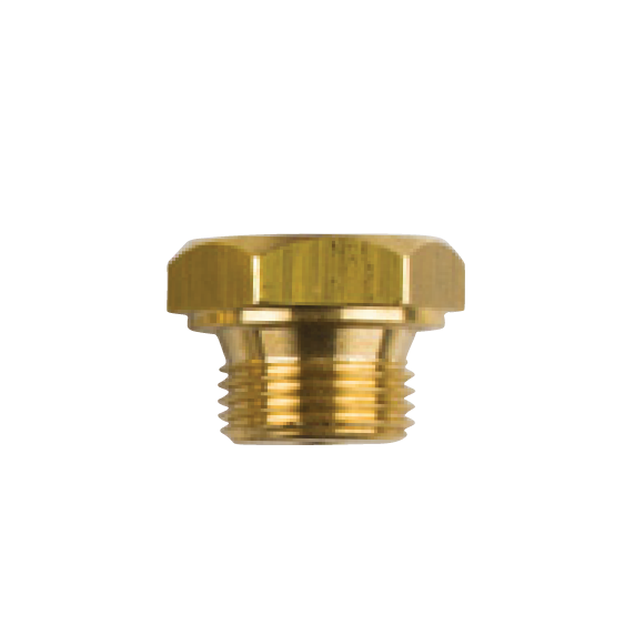 GENERAL MOTOR TAPA th. 3/8''Bspt (2027TP İLE AYNI)