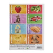 Diytoy Hafıza Kartları İlk 50 Sözcük – Çocuklar İçin Eğitici Flash Card Seti | 0-3 Yaş