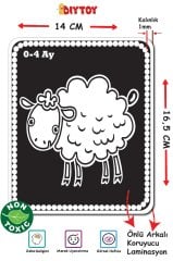 DIYTOY Bebeğimin İlk Zeka Kartları – Eğitici Flash Cards, 0-1 Yaş Bebekler İçin Görsel ve Zeka Gelişimi,