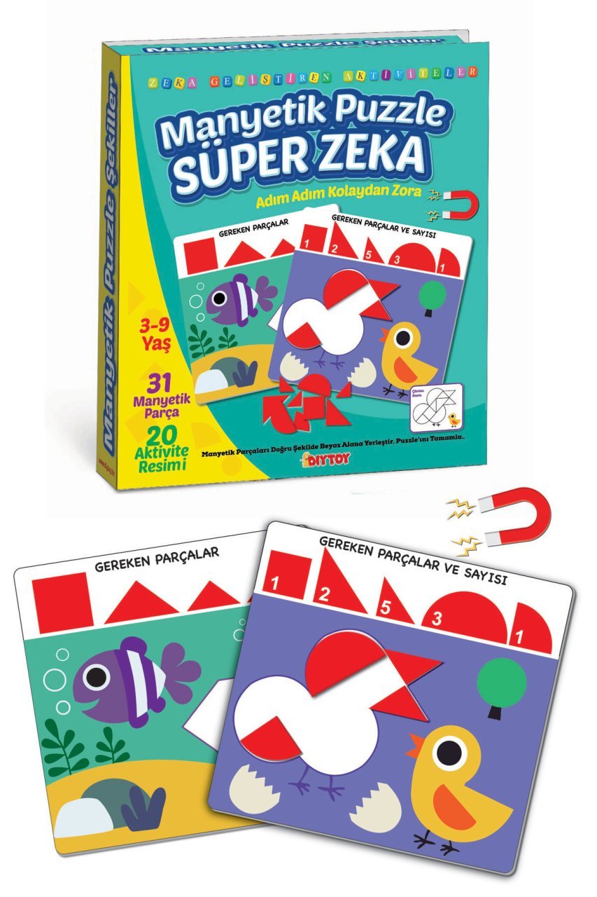 Diytoy Manyetik Puzzle Süper Zeka | 3-9 Yaş | 31 Manyetik Parça | 20 Aktivite Resmi | Kolay-Orta-Zor Seviye