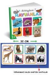 Diytoy İlk Kitaplarım - 6’lı Set | Bebek ve Çocuklar için Eğitici Okul Öncesi Kitapları
