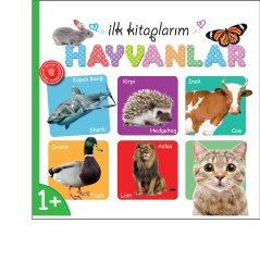 Diytoy İlk Kitaplarım - 6’lı Set | Bebek ve Çocuklar için Eğitici Okul Öncesi Kitapları