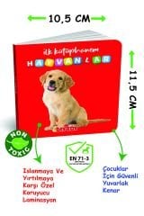 DİYTOY İlk Kütüphanem - 8'li Mini Kitap Seti | İlk Sözcükler | Eğitici ve Eğlenceli Bebek Kitapları