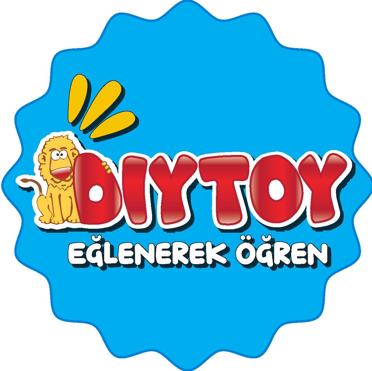 Diytoy