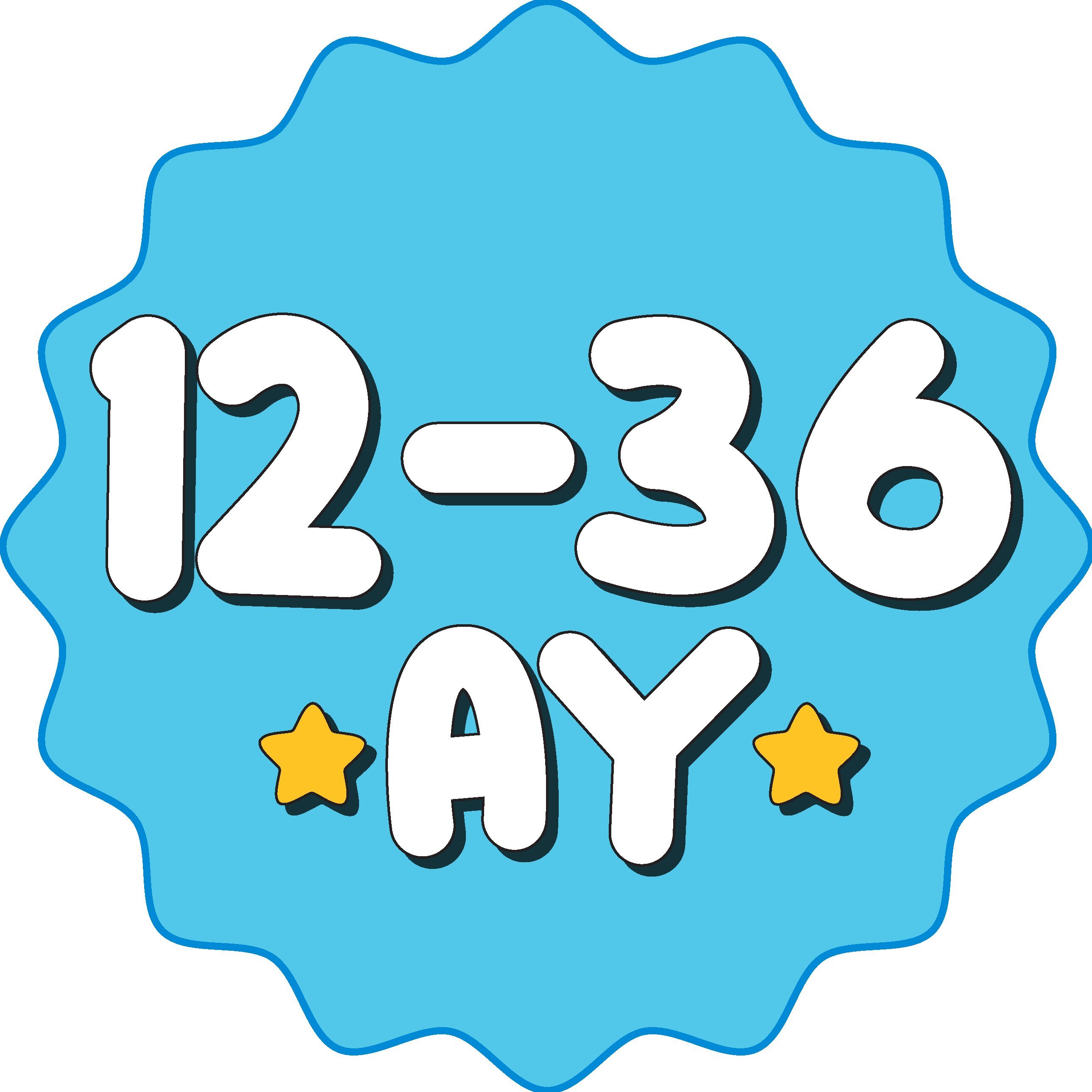 12-36 Ay