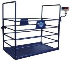 HCT 1500 Kg. 100x200 Büyükbaş Hayvan Baskülü