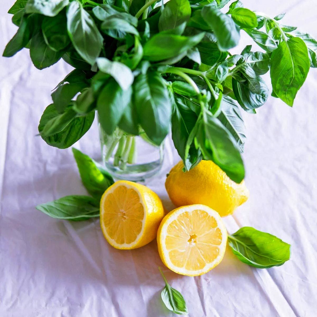 Limonlu fesleğen tohumu geleneksel
