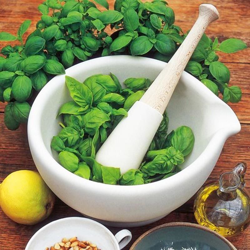 Aromatik tatlı fesleğen tohumu sweet basil