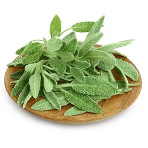 Geniş yapraklı adaçayı tohumu salvia seeds