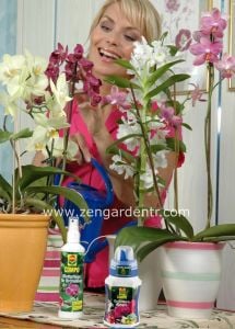 Compo sıvı orkide gübresi 250 ml.