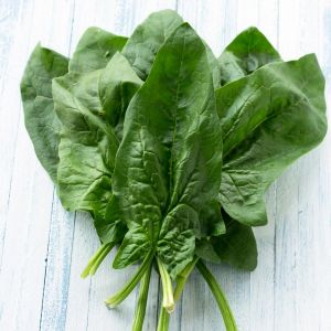 Viroflay ıspanak tohumu salataya uygun