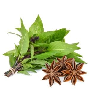 Acem fesleğeni tohumu anoson aromalı anise basil