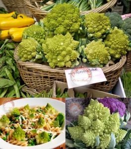 İtalyan romanesco brokoli tohumu