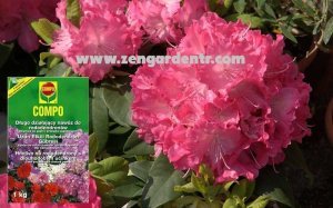 Compo uzun etkili rhododendron gübresi 1 kg