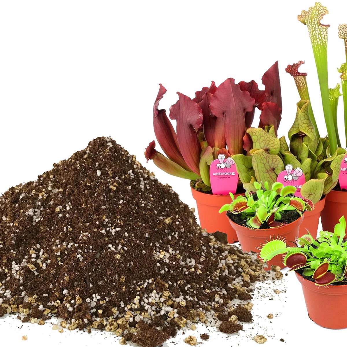 Etobur bitki toprağı carnivorous drosera venus flytrap sarracenia cinsleri için özel