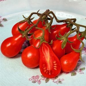 Geleneksel kırmızı armut domates tohumu red pear heirloom tomato