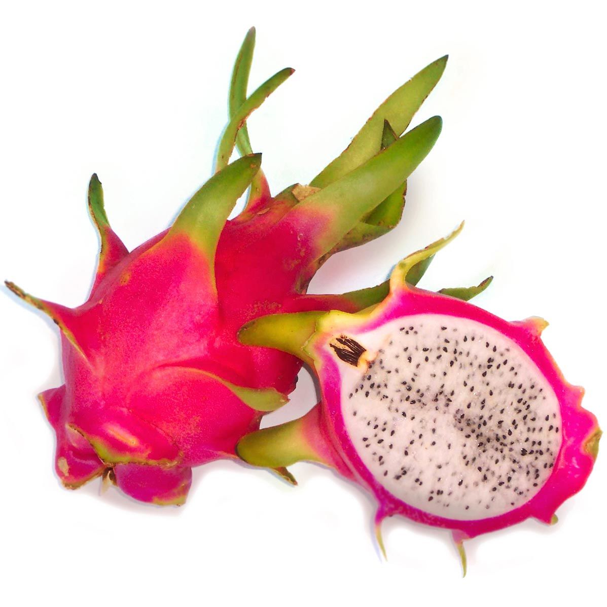 Beyaz ejder meyvesi tohumu pitaya hylocereus triangularis kokulu