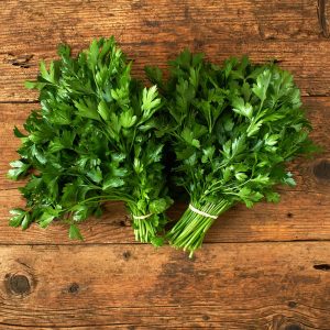 Geniş yapraklı italyan maydanoz tohumu atalık italian giant parsley