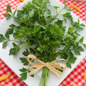 Geniş yapraklı italyan maydanoz tohumu atalık italian giant parsley