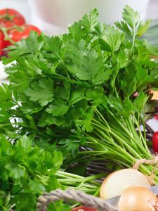 Geniş yapraklı italyan maydanoz tohumu atalık italian giant parsley