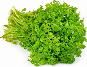 Şifalı baharlı bahçe teresi pepper cress tohumu