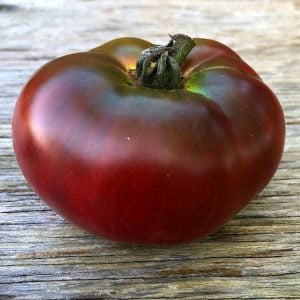 Siyah karbon domates tohumu geleneksel carbon tomato seeds