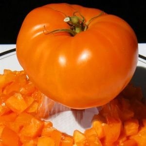 Nebraska düğünü domates tohumu geleneksel nebraska wedding tomato