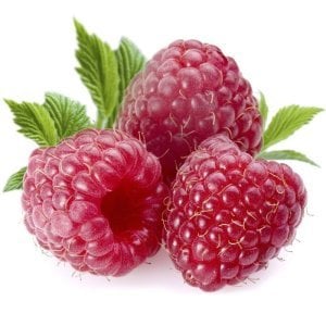 Kırmızı frambuaz fidanı ithal rubus idaeus raspberry ottowa