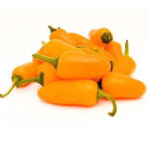 Balkabağı portakal renkli jalapeno biber tohumu pumpkin spice