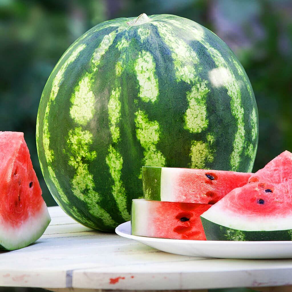 Kaliforniya kan karpuzu tohumu geleneksel watermelon crimson sweet