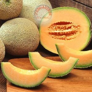 Top kavun tohumu cantaloupe melon top mark