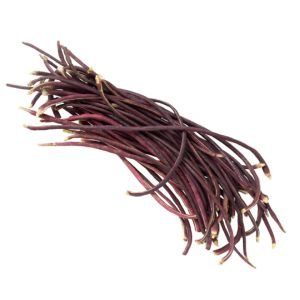 Mor uzun fasulye tohumu yard long purple bean