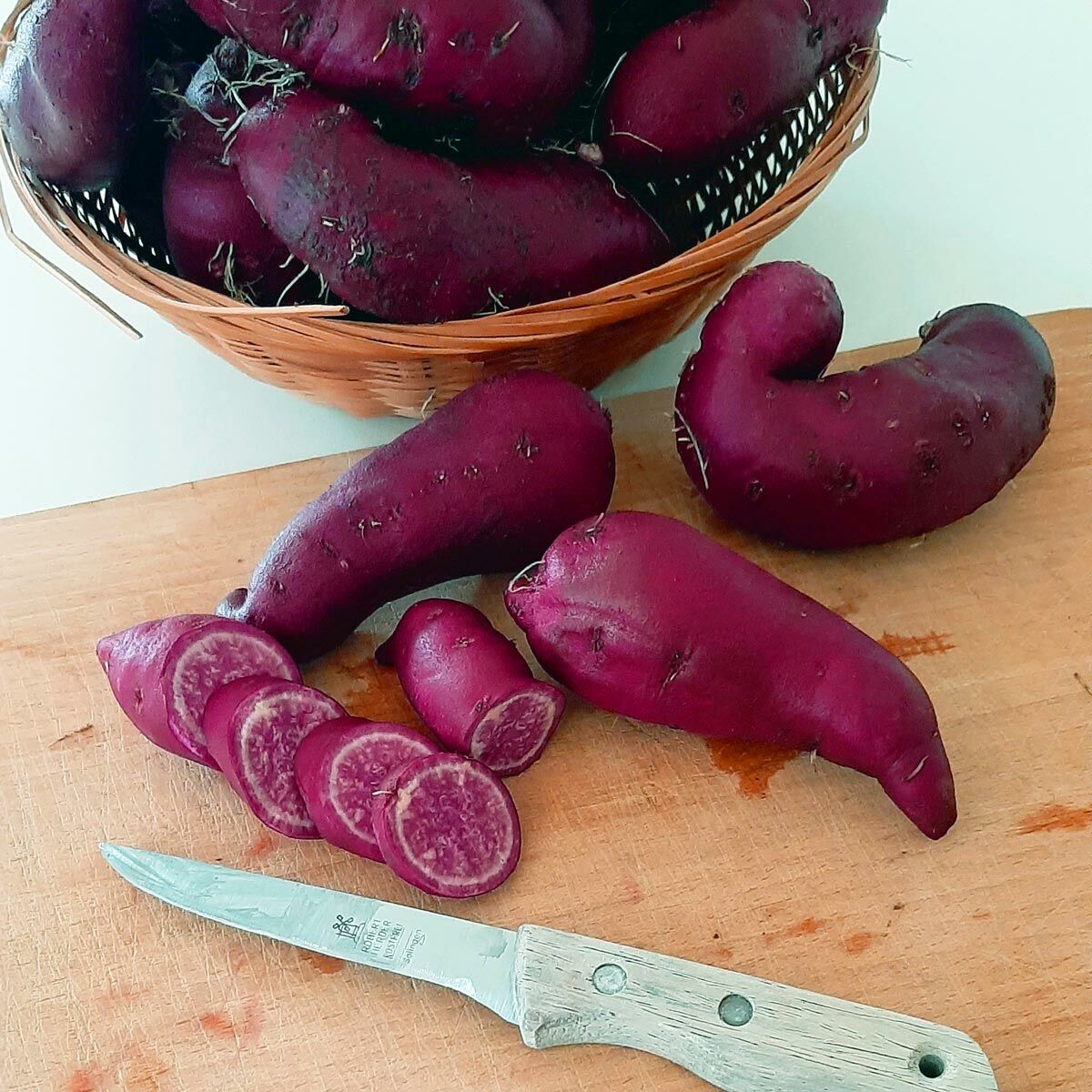 Tatlı patates fidesi mor meyveli erato violet sweet potato