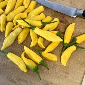 Limon damlası acı biber tohumu lemon drop pepper