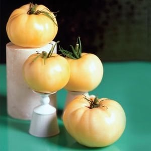 Beyaz domates tohumu great white tomato geleneksel