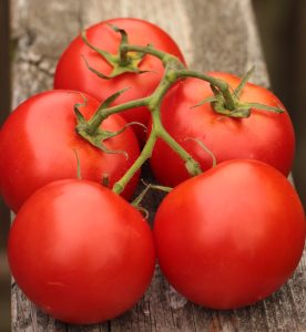 Çiftlik domatesi tohumu geleneksel tip delicious tomato seeds heirloom
