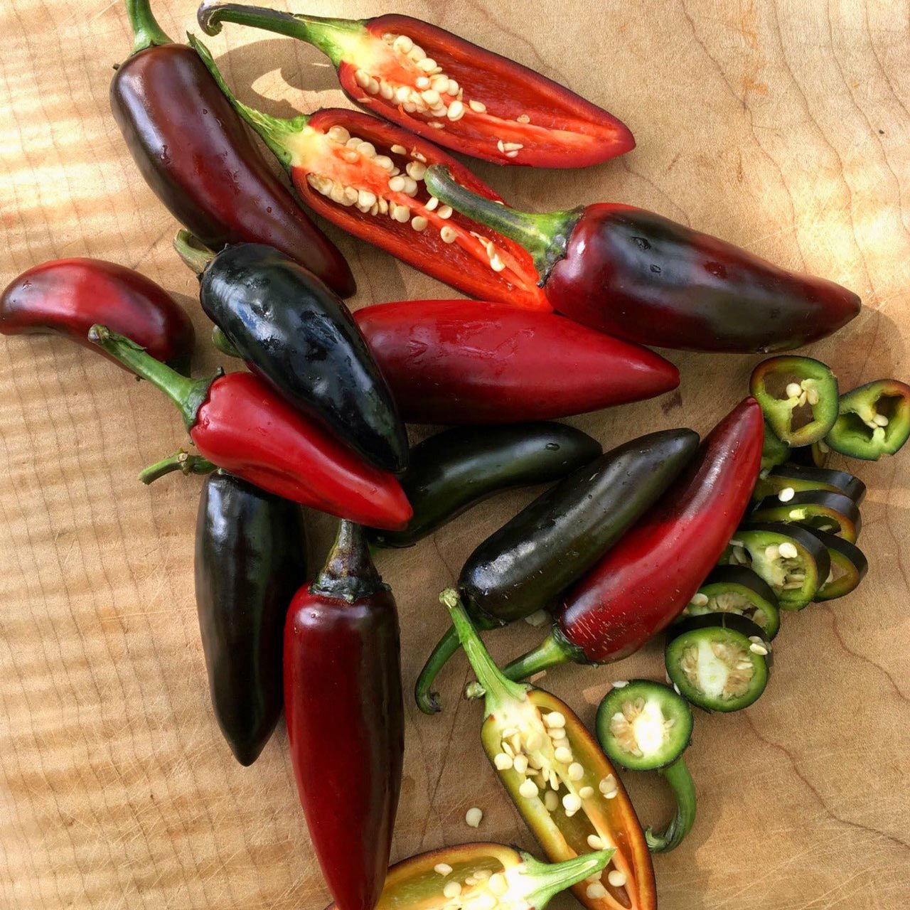 ekoslovak-siyah-ac-biber-tohumu-capsicum-annuum-72-79-tl