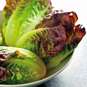 Red romaine kırmızı marul tohumu atalık kışa dayanıklı